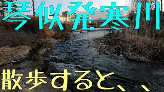 琴似発寒川　かもめ橋付近 を散策　2020年4月 早く平和な日常が訪れますように。COVIT-19 早く収束して　VIOFO A129 PRO DUO　FeiyuTech Vlog Pocket