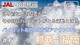 【JGC修行③】目の前に雲がある時パイロットはどうする…？沖縄色満載の日本トランスオーシャン航空 #6 那覇→福岡【航空無線】