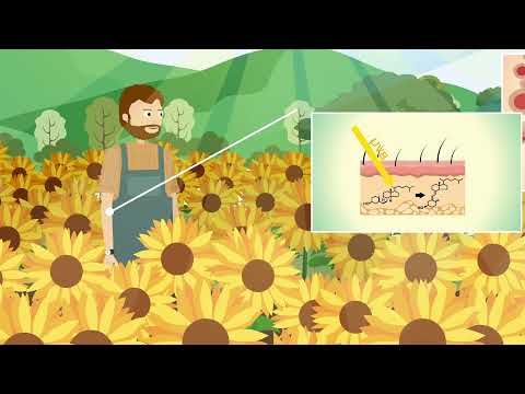 Are radio waves dangerous?