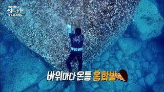 해남이 직접 캐는 자연산 홍합! 홍합 천국 울릉도 섬으로 가자 4회