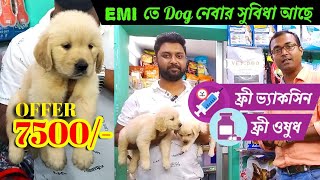 PET'S KINGDOM Pet Shop At Kolkata | dog market kolkata price | Low Price Puppy In Kolkata | dogs