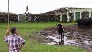 Trabalho de Campo CAJAF em Novembro 2024