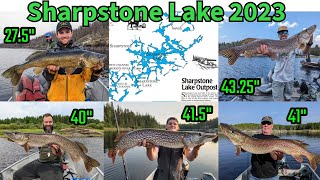 Sharpstone Lake 2023 - Canada Fly-In Fishing