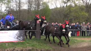 Jirásek Zdeněk - Rudolfův pohár CAI 2015 Kladruby objektivem EquiTV