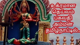 மலையாள பகவதி  தமிழ்நாட்டிற்கு வந்தது எப்படி? கணக்கம்பாளையம் பகவதி அம்மன்