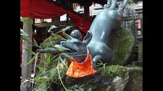 伏見稲荷大社～稲荷山～裏参道まで　Hushimiinari taisya  in Kyoto