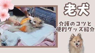 【老犬介護】寝たきり犬でも楽しく過ごせる工夫とおすすめグッズ紹介。～夕祐の日常を添えて～