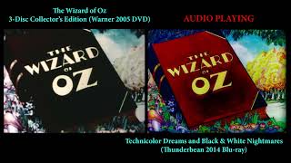 The Wizard of Oz (1933) Ted Eshbaugh Video Comparison - 16mm Kodachrome dupe vs 35mm Technicolor