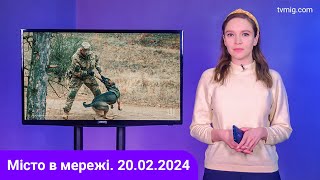 Місто в мережі від 20.02.2024