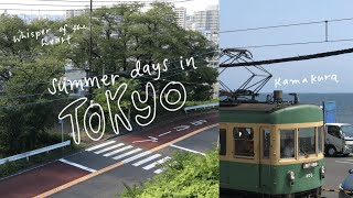 summer days in tokyo 🚃 kamakura, seiseki-sakurgaoka, ghibli studio, ueno park