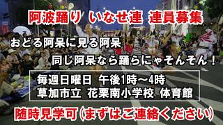 いなせ連 阿波踊り 連員大募集中！