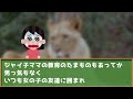 【キチママ】老婆がいきなり掴みかかってきて、よく見ると絶縁した元幼馴染の母だった【理解不能】