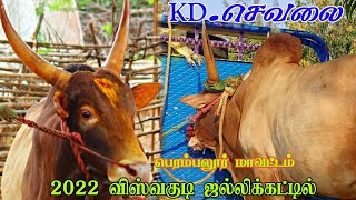 KD செவலை விசுவக்குடி ஜல்லிக்கட்டில் 2022