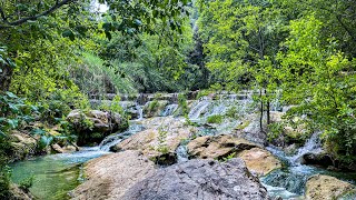 Dareb el Nahr: A Little Piece of Heaven Down the Valley. Connect with Nature