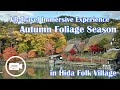 Walking tour Takayama japan Hida Folk Village Hida no sato Autumn Leaves season 2022 11 04紅葉　飛騨の里