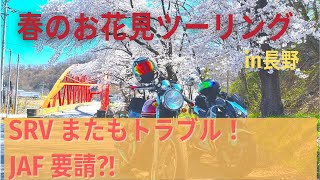 【桜満開】〜春のお花見ツーリング〜in長野