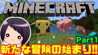 マイクラ実況復活！今度はSwitch版で大暴れだ！！【マインクラフト Part1】