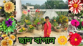 আমাদের ছাদ বাগান 🌼