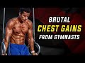 Brutal CHEST GAINS with this Forgotten Gymnast Dip