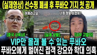 [12월 11일 브이로그] 선수핑 폐쇄 후 푸바오 기지 첫 공개! 폐원하고 실내 접객중인 푸바오? 소문 차단하는 선수핑 판다기지 상황, 실제영상포함