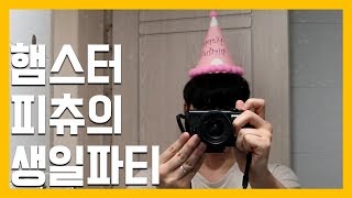 햄스터 피츄의 생일파티 feat.미어캣 꾸릉이 [냥이아빠]