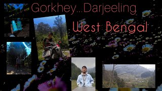 Exploring Gorkhey | Darjeeling | West Bengal | With Brother Cum Friend | Sikkim - Darjeeling