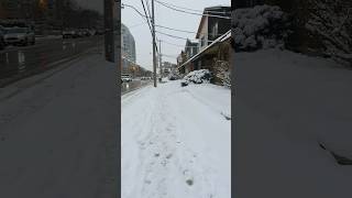 NEVANDO HOJE EM TORONTO - Viajar para o Canadá🇨🇦