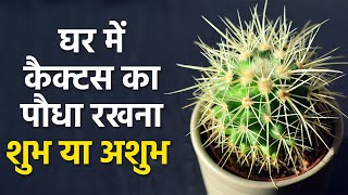 घर में कैक्टस का पौधा रखना शुभ या अशुभ | Cactus Ghar Mein Rakhne Se Kya Hota Hai | Vastu | Boldsky