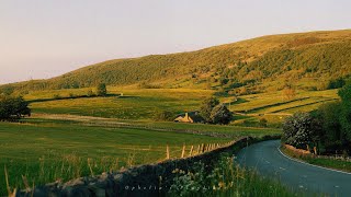 a playlist for reflective moments in the quiet of the shaded garden