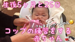 【生後5ヶ月と25日】コップの練習をする赤ちゃん【りあっぴ 成長記録】