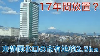 17年間放置？東静岡北口の市有地約2.5ヘクタール