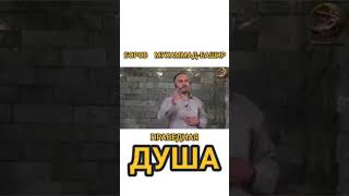 Боров Мухаммад -Башир -   Праведная душа