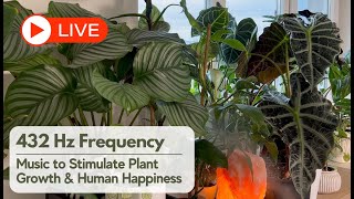 🔴 LIVE 🌿 432 Hz Frequency: Music to Stimulate Plant Growth and Human Happiness