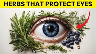 Top 7 Herbs That Repair Vision and Protect Eyes