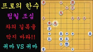 [프로의 한수] 팀킬 조심!!! 차의 길목을 막지 마라~(장기)