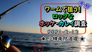 ホッケ・カレイ調査！小樽南防波堤の堤防釣りで良型ホッケをGET♪