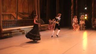 Ballet Don Quixote  