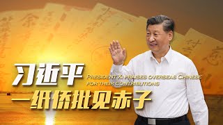 习近平·一纸侨批见赤子/President Xi praises overseas Chinese for their contribution