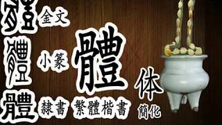 36 繁體漢字每日一課：體