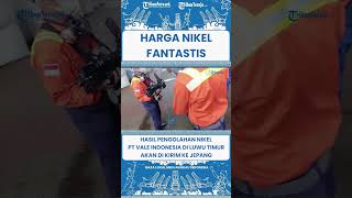 SHORT Bernilai Fantastis, Penampakan Hasil Pengolahan Nikel PT Vale Indonesia di Luwu Timur
