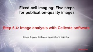5.4 Image analysis with Celleste software–Fixed cell imaging: 5 steps for publication-quality images