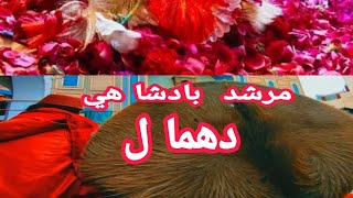 Sehwan Sharif Hazrat Lal Shahbaz Qalandar Dhamal | Vlog 148| Musafir sham QAlandar