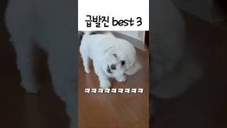 내 밥그릇은 내가 챙긴다 #shots #쇼츠