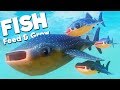 RAISING MY ADORABLE WHALE SHARK BABIES! | Feed and Grow Fish