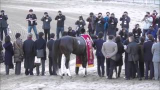 2016 1/27 第65回 川崎記念（ＪｐｎI） ウィニングラン～口取り～勝利ジョッキーインタビュー～表彰式 現地映像 ホッコータルマエ