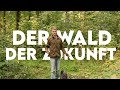 Wie sieht der Wald der Zukunft aus? - Forst erklärt