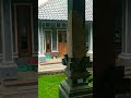 HUJAN DERAS!!! SUASANA RUMAH KAMPUNG HALAMAN