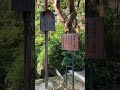 不動院 安国寺恵瓊 毛利家 　 豊臣秀吉 福島正則 武田刑部