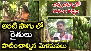 How to Get Good Profits in Banana Cultivation? Banana Farming information Guide for Beginners