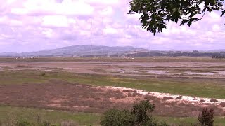 Marin Co. renames slough to better honor pioneering Black settler